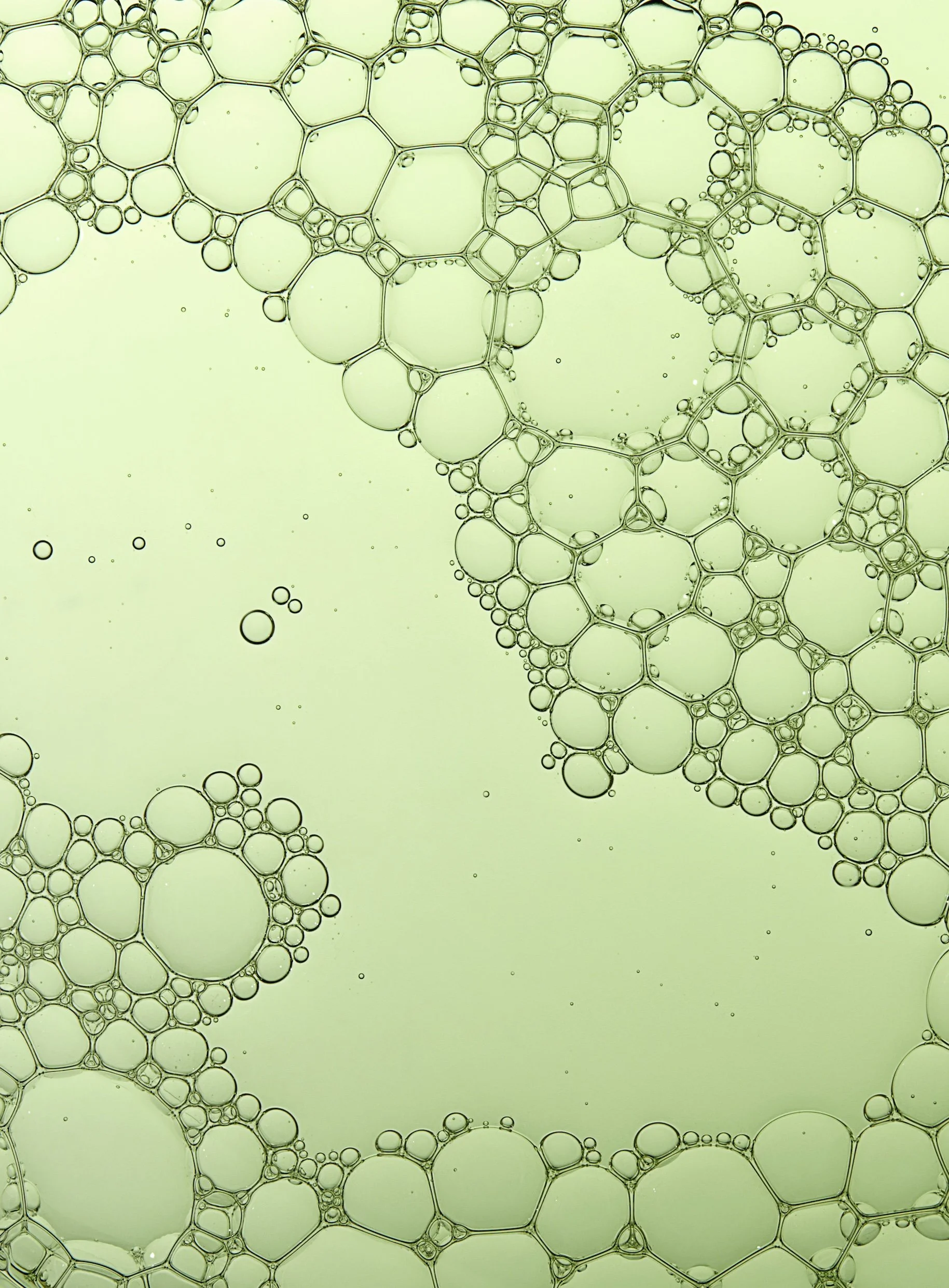 2024-12-11-ORD-Ingredients-Aloe-GlycolicAcid7ExfoliatingToner-0094.jpg