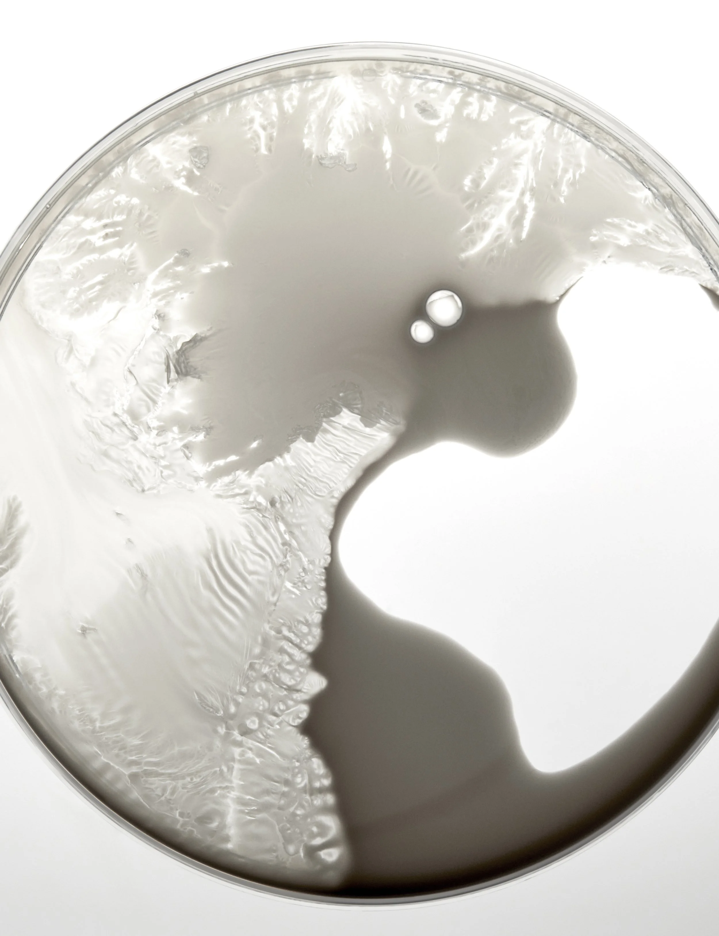 2024-12-11-ORD-Ingredients-ZincPCA-Niacinimide10Zinc-NaturalMoisturizingFactors+HAforScalp-0072.jpg