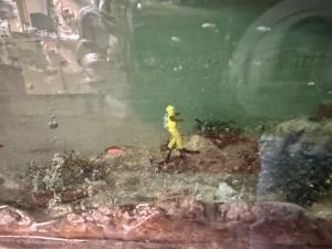 Hard Helmet Diver 300 size_8714.jpg