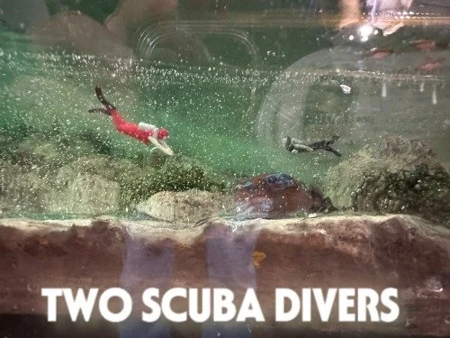 Two Divers_8713AAA.JPG