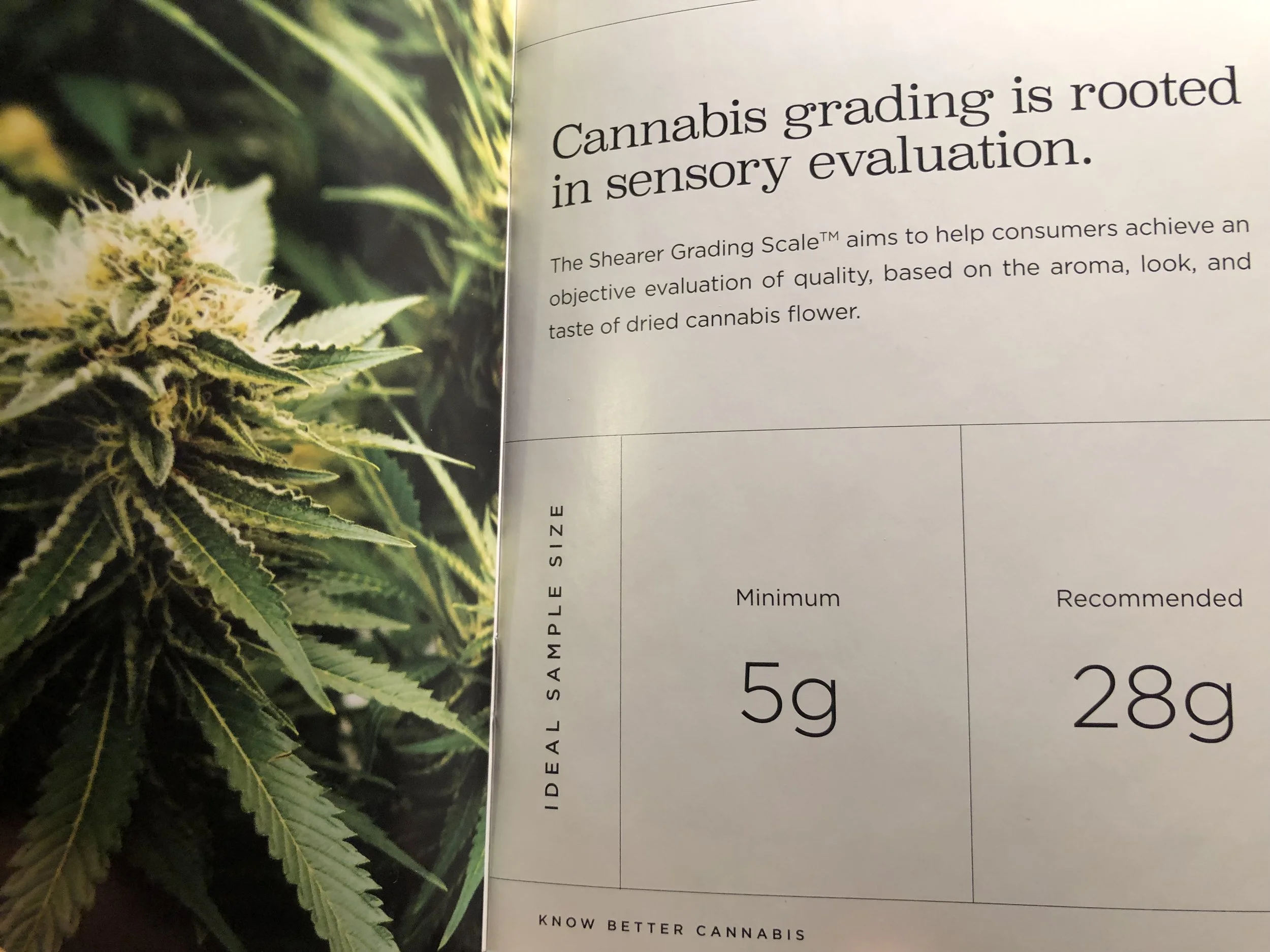 The Shearer Grading Scale – Admire it, Smoke it, Grade it