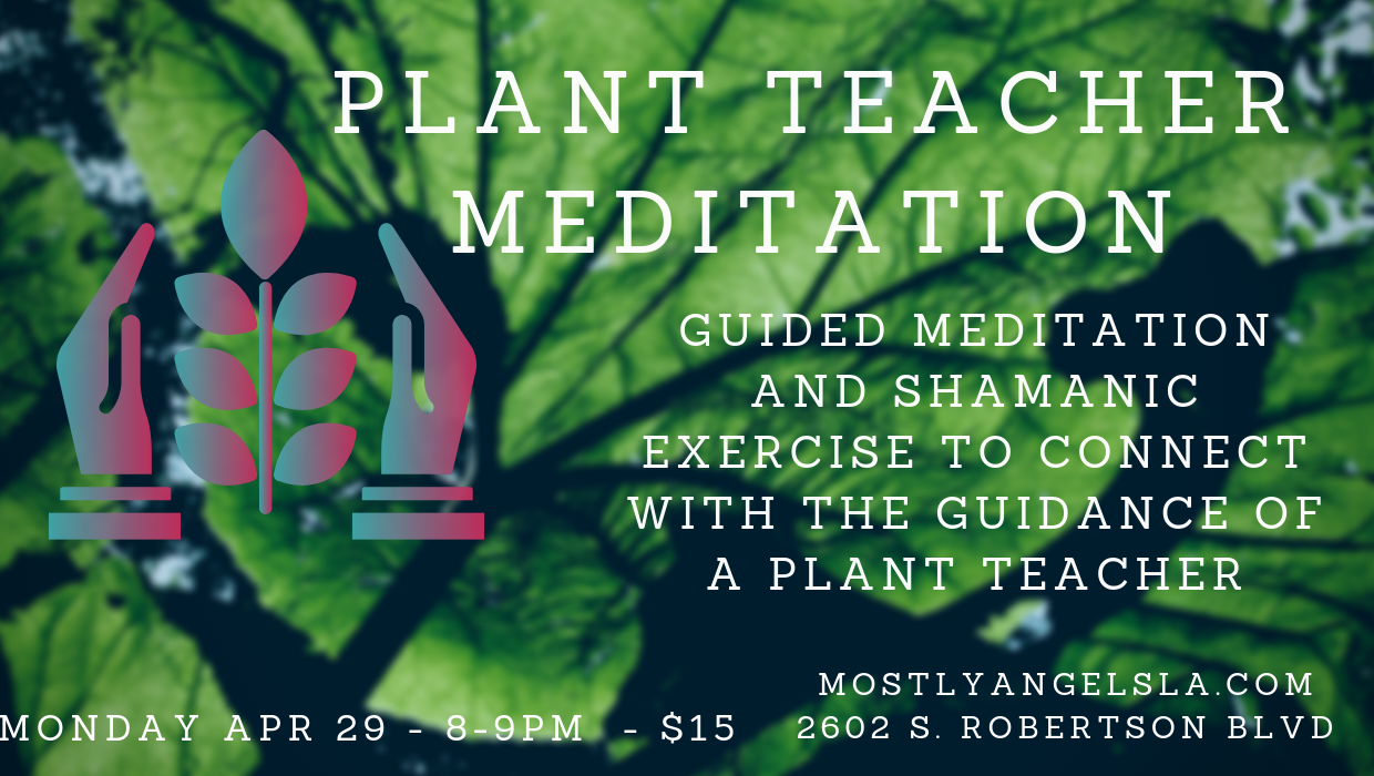 Plant teacher meditation 4-29-19.png