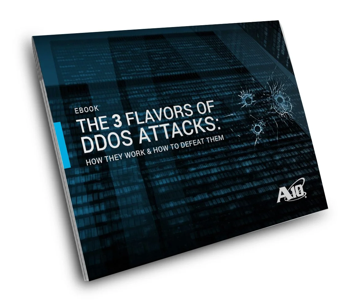 DDoS-Type_Ebook_Mock copy.jpg