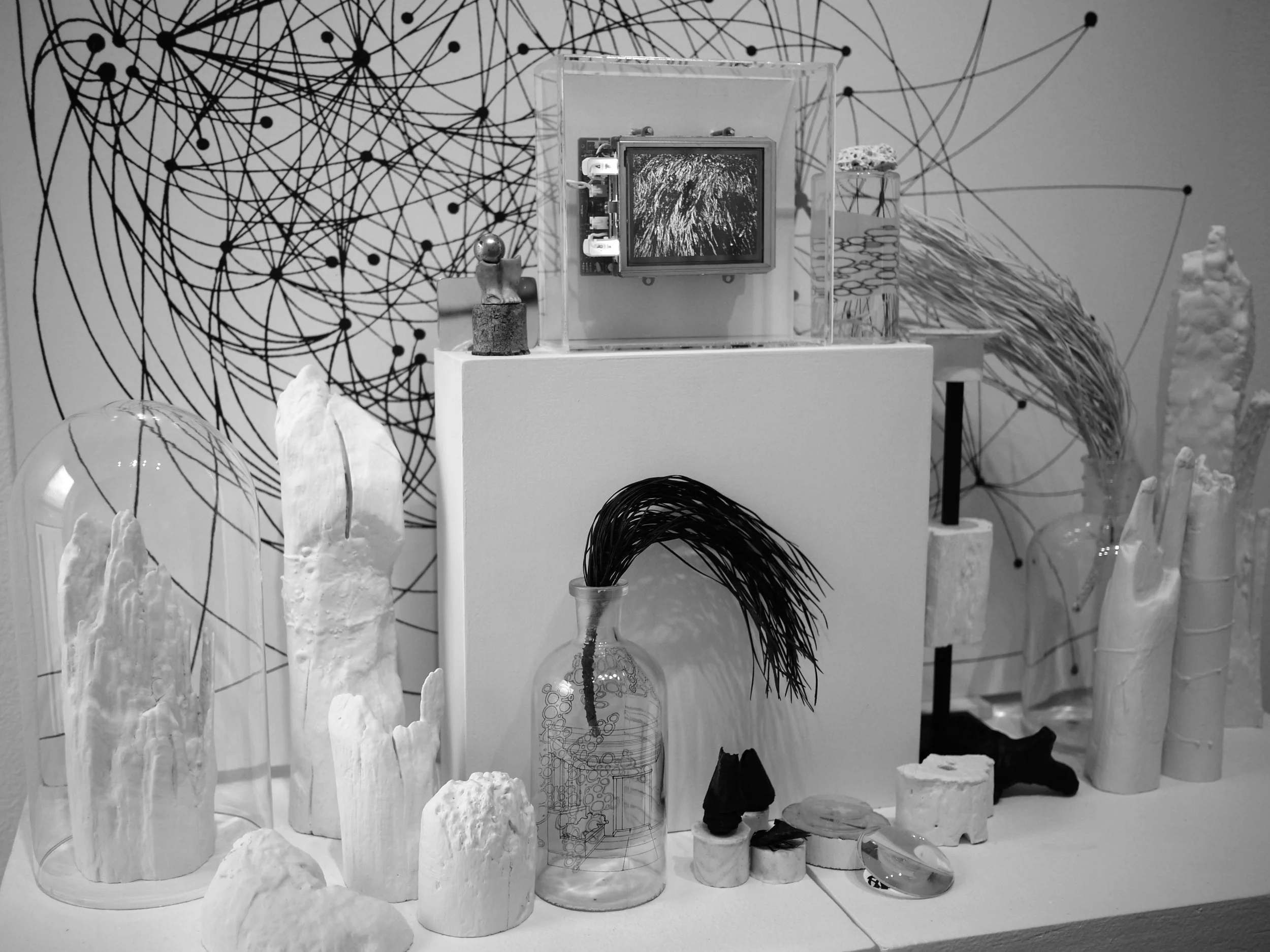    Post Nature     (installation detail)  From a 2011 installation at Main Art in Richmond.   Audio/Video,  Mixed Media.   Dimensions Variable 