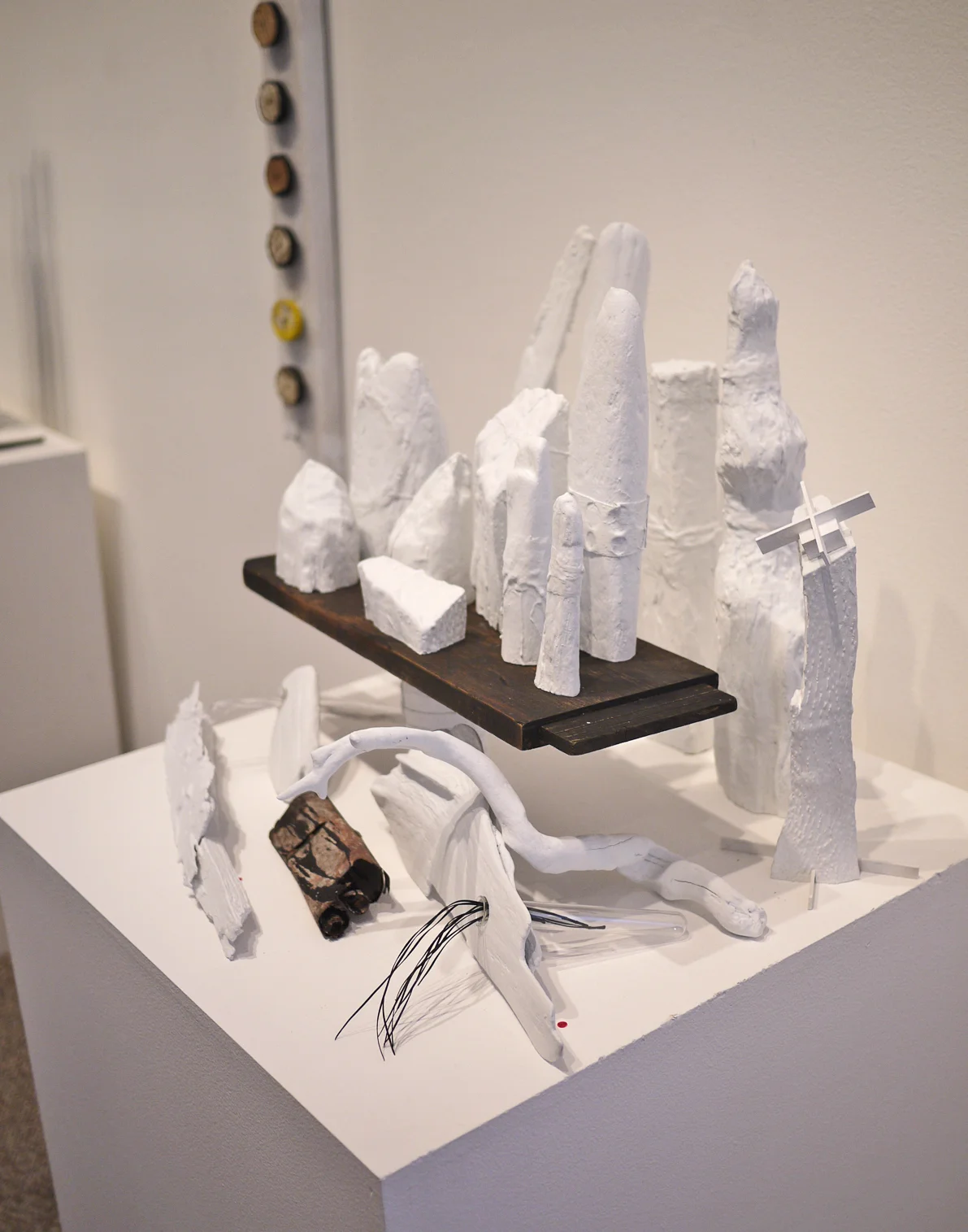  Post Nature  (Detail)  Dimensions variable  2011 