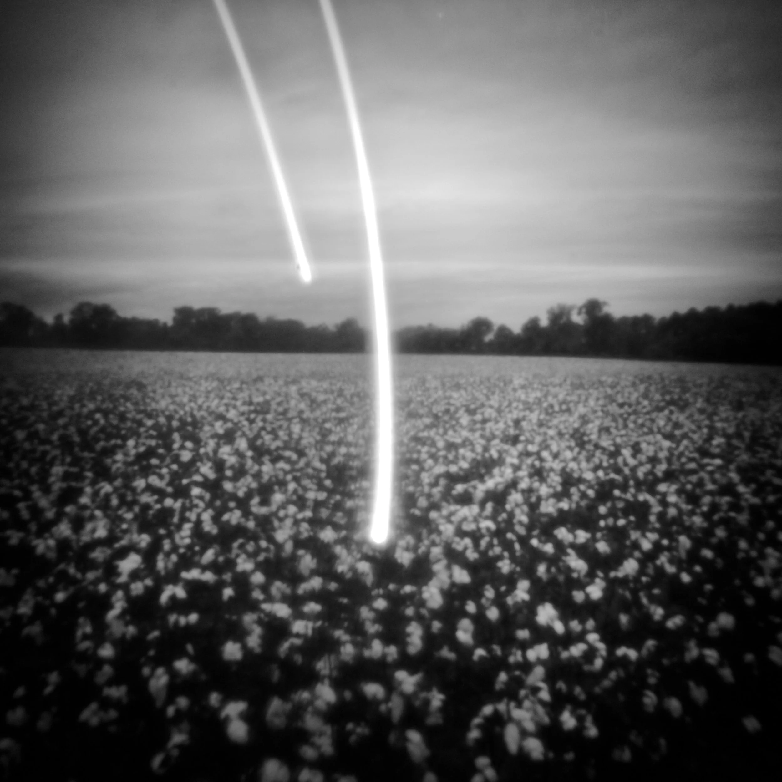 Field Experiment : Self Portrait