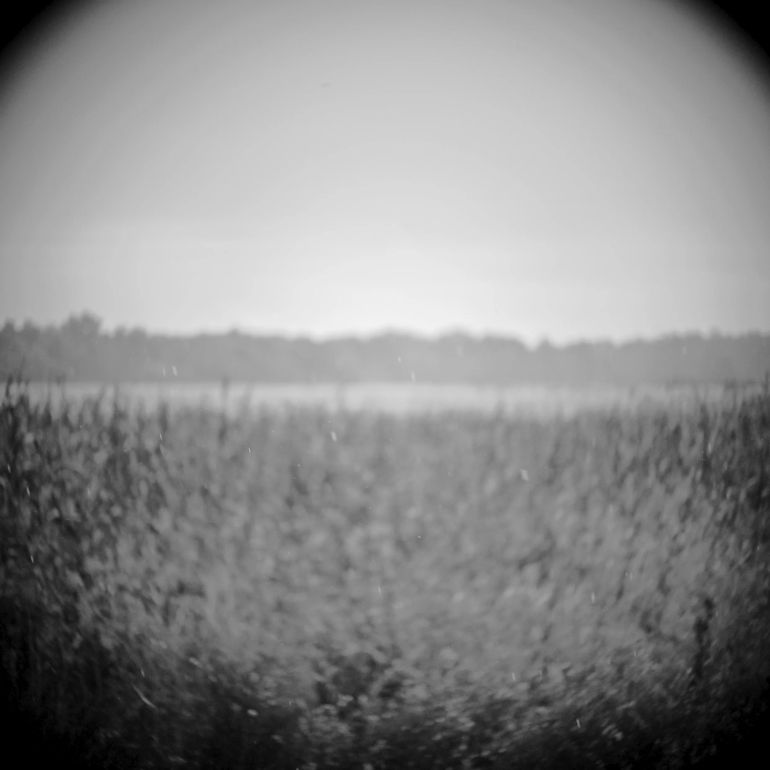    Field Study (#22)    Digital Pinhole&nbsp;  Charles City, Virginia 