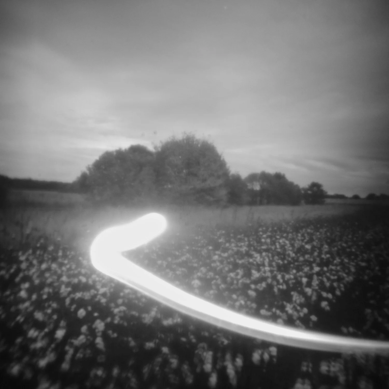    Field (Experiment #11)    Digital Pinhole  Charles City, Virginia 