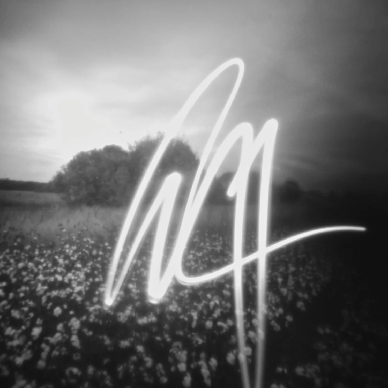 Field Experiment #14