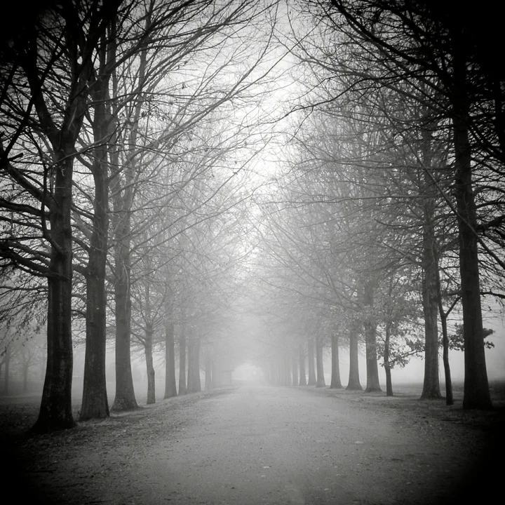 Allee