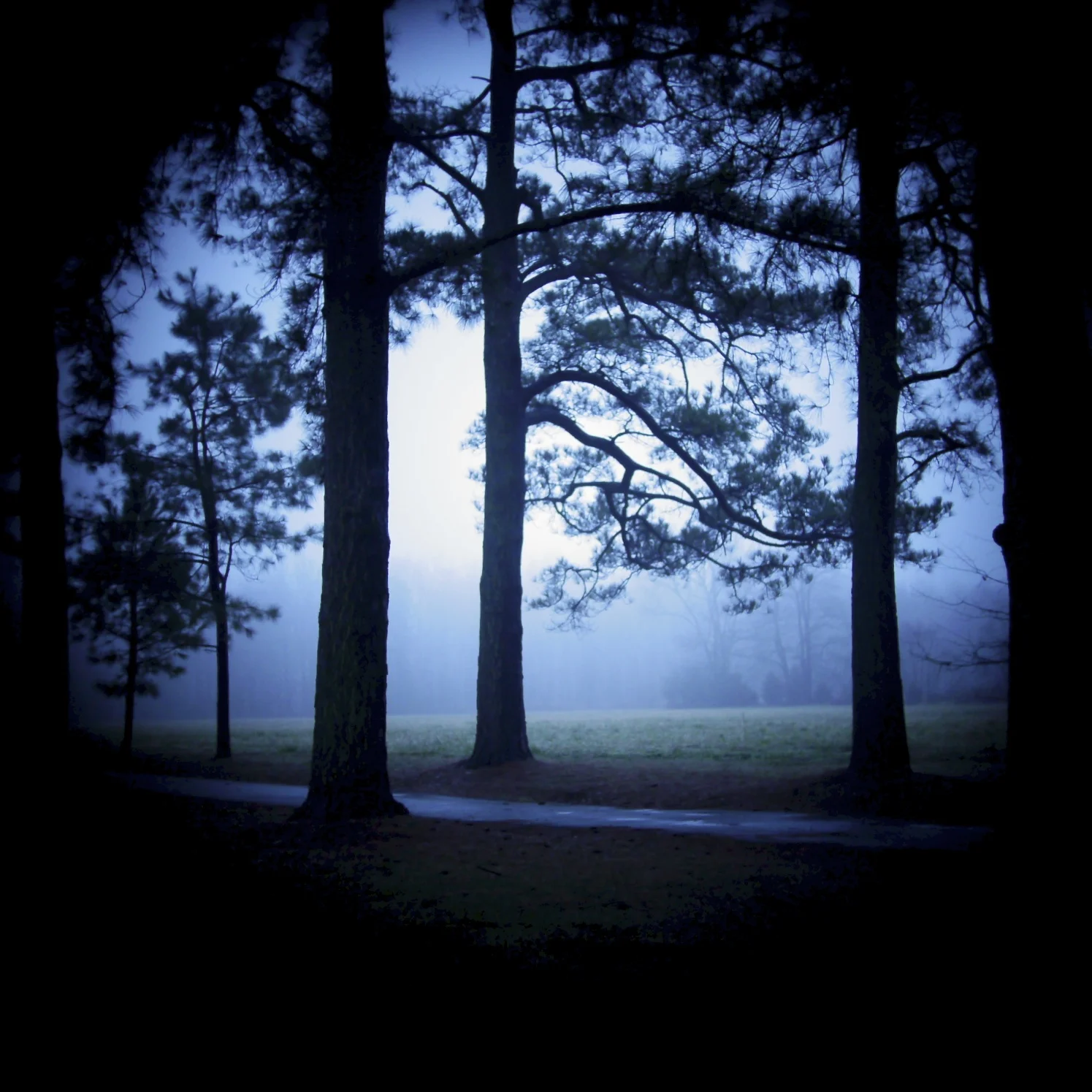    Blue (Path)    Charles City, Virginia 