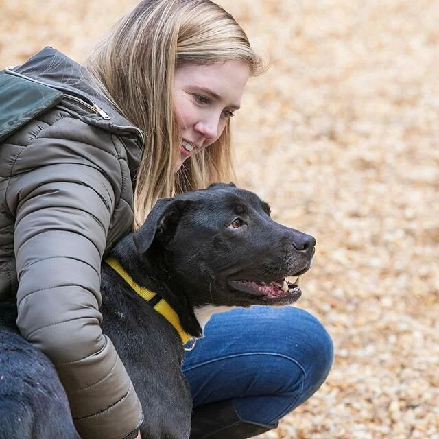 Happy #tongueouttuesday from me and all the adoptable pups that I got to play with last week at @lifelineanimal while volunteering!
If you&rsquo;re looking to add a dog to your family there are soooo many sweeties there waiting for homes of their own