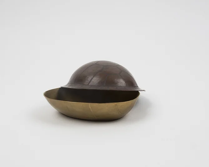Turtle Shell (Detail)