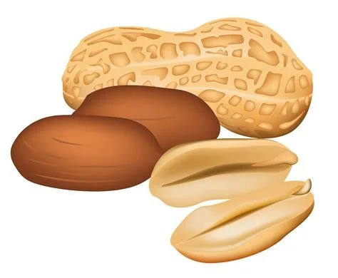 nuts.jpg