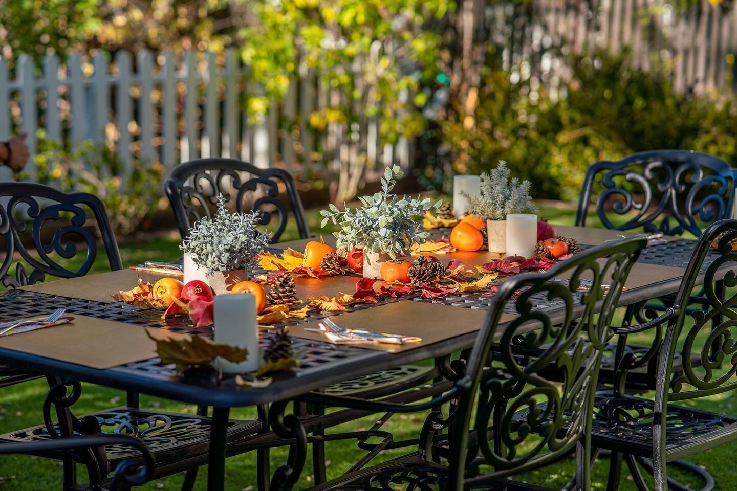 In the warm California sunshine, Thanksgiving was al fresco this year #californianthanksgiving 

#thanksgivingtablescape #thanksgiving #californialiving #california #thanksgivingalfresco #alfrescothanksgiving #thankful #sunshine #autumnincalifornia #