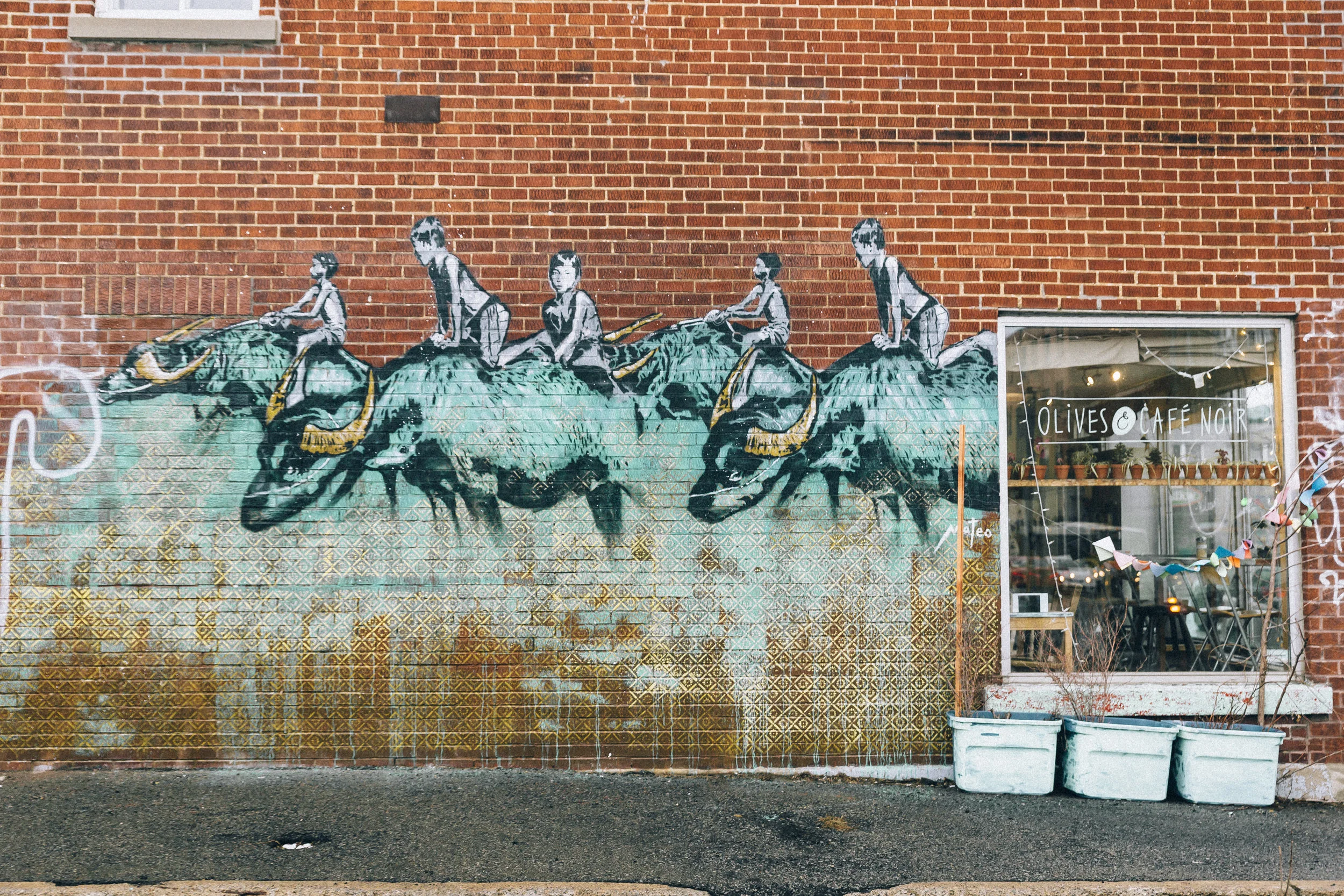 Travesias montreal 2017 montreal_morillo_photography-5.JPG