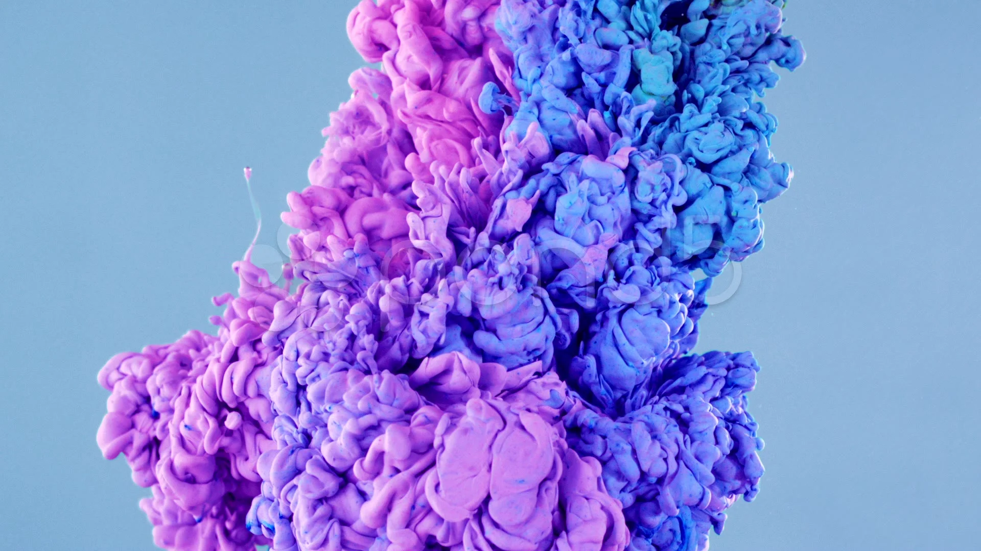 Ink in Water Wallpaper Ink Water Wallpaper Water.jpeg