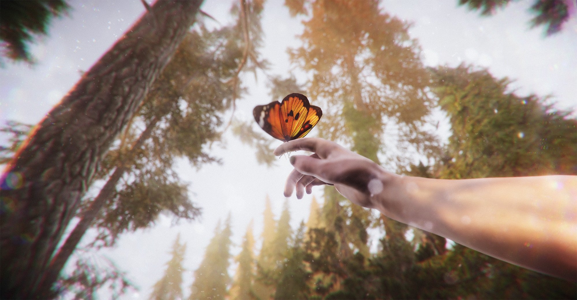 TheForestCathedral_butterfly.jpg