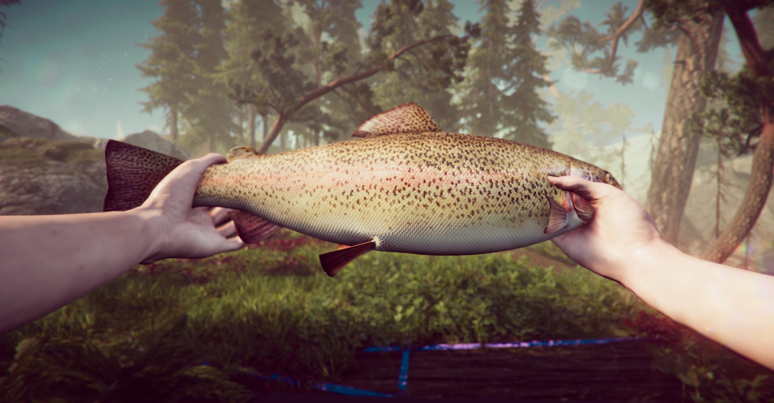 TheForestCathedral_Trout.jpg