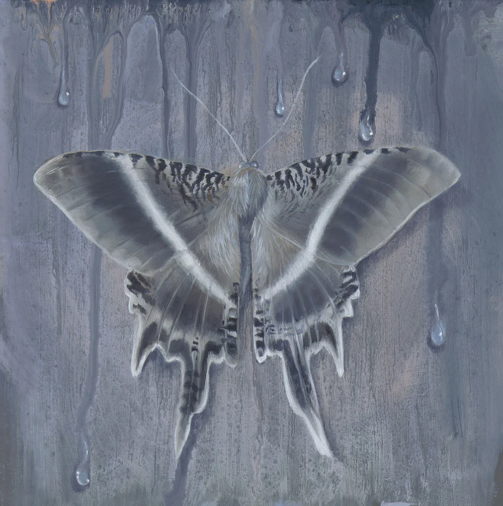 Moth #2