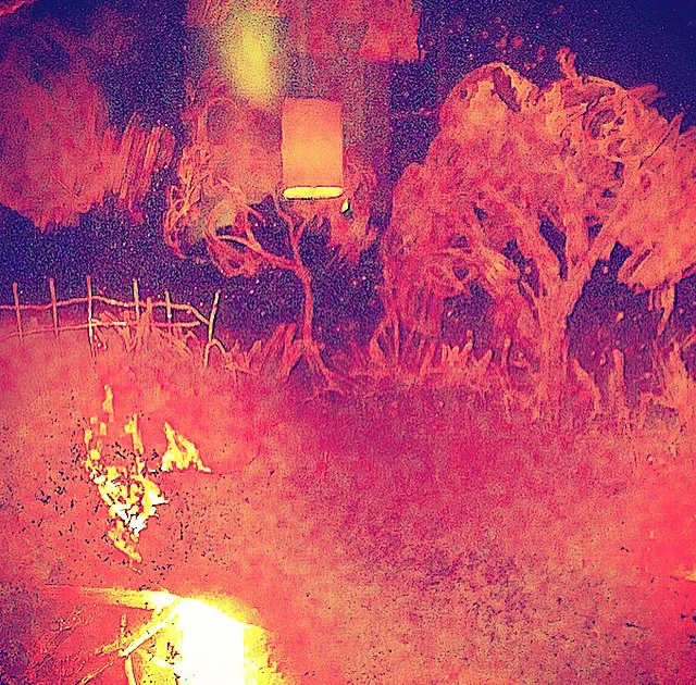 pic 101.jpg