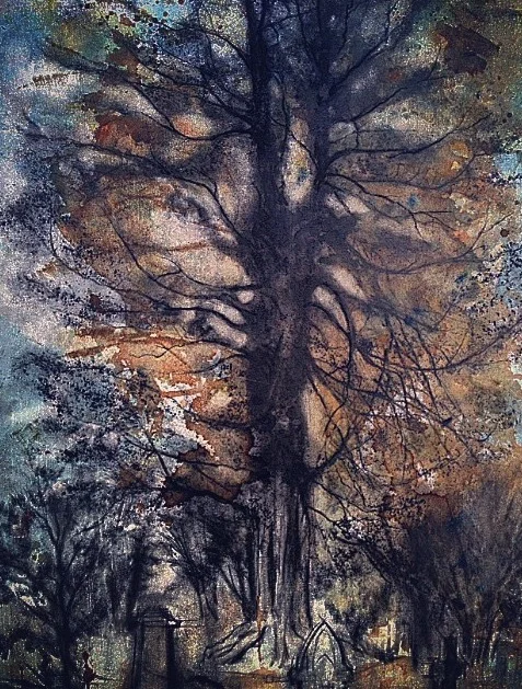 Yew tree. Llandaff Cathedral.