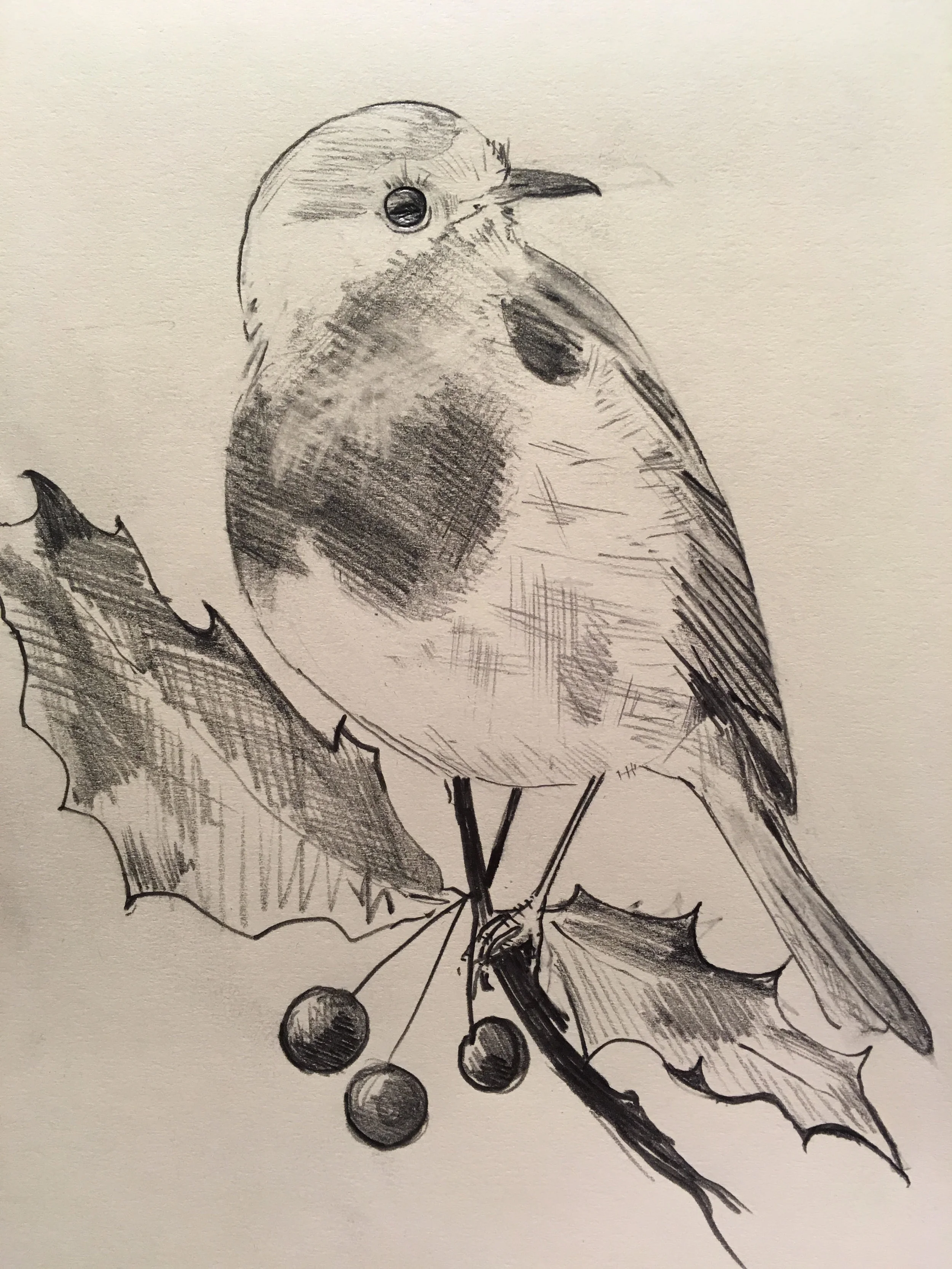 bird.jpg