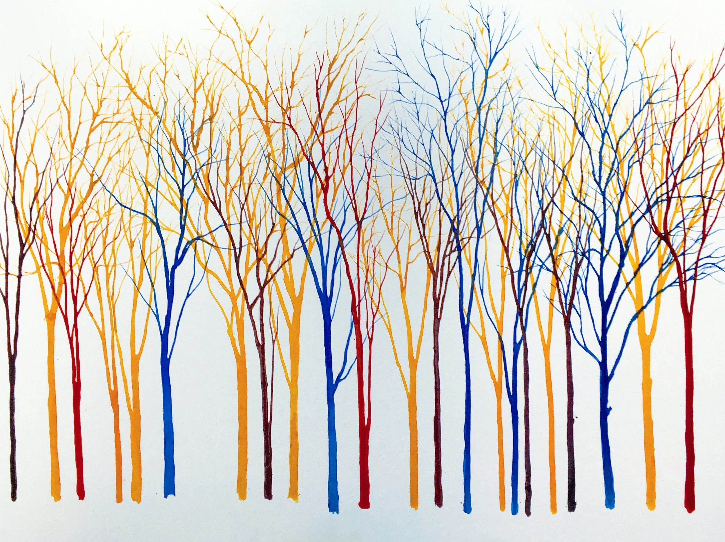 colour trees.jpg