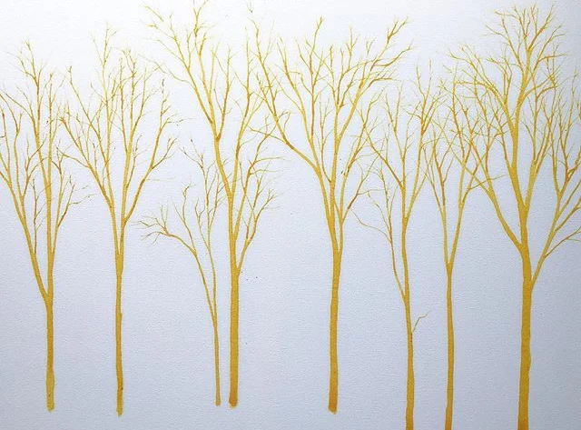 yellow trees.jpg