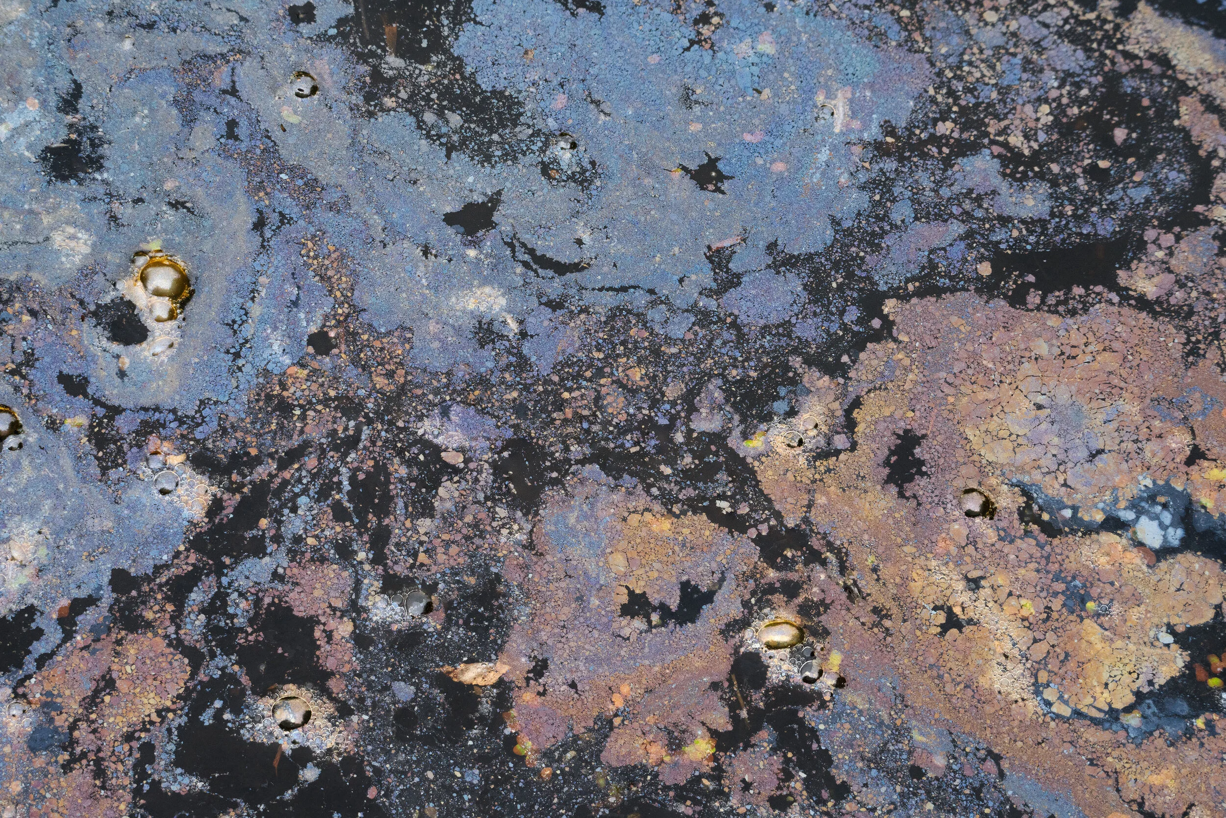 Iridescent oil Travis 5 copy.jpg