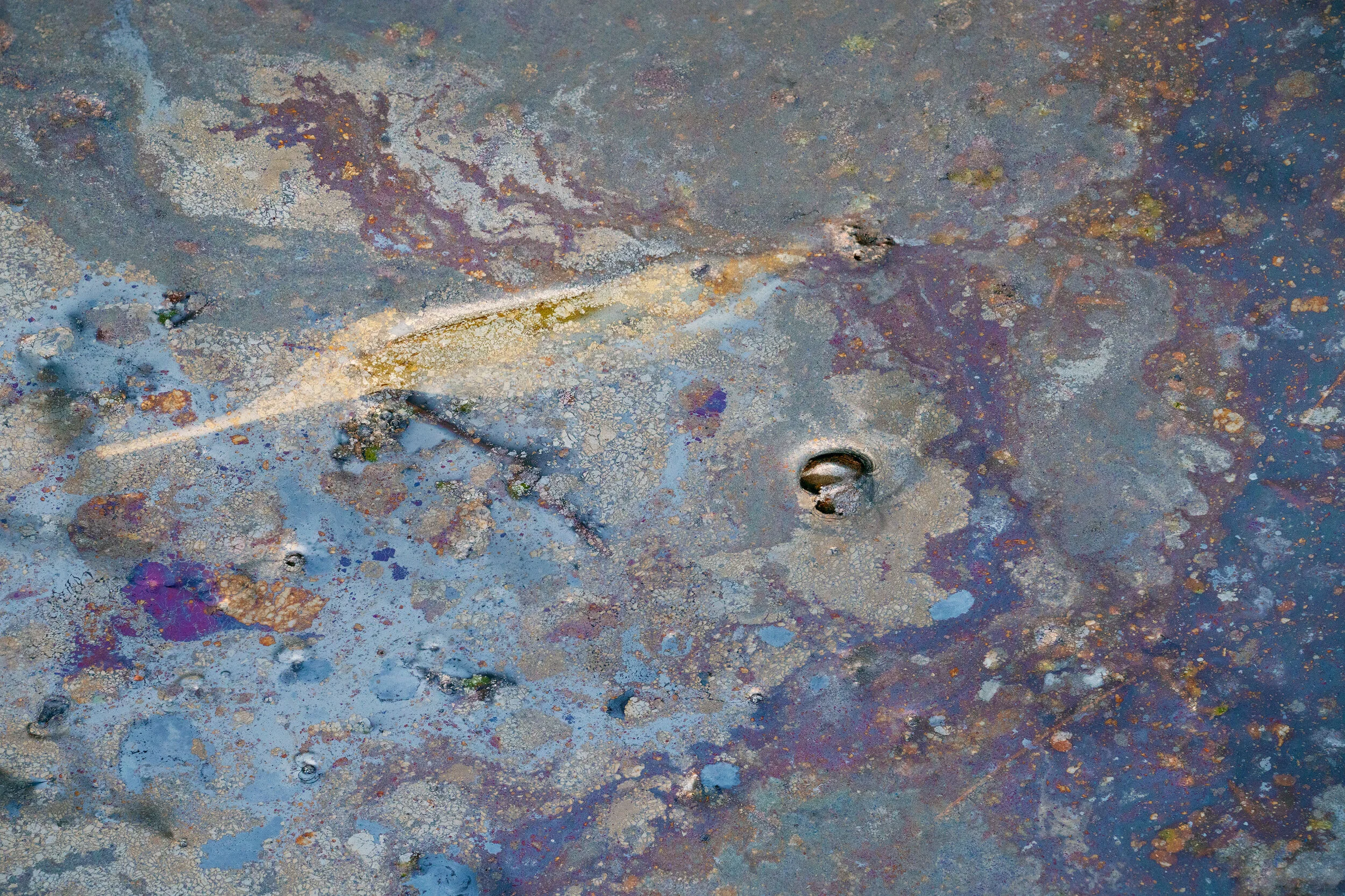 Iridescent oil Travis 2 copy.jpg