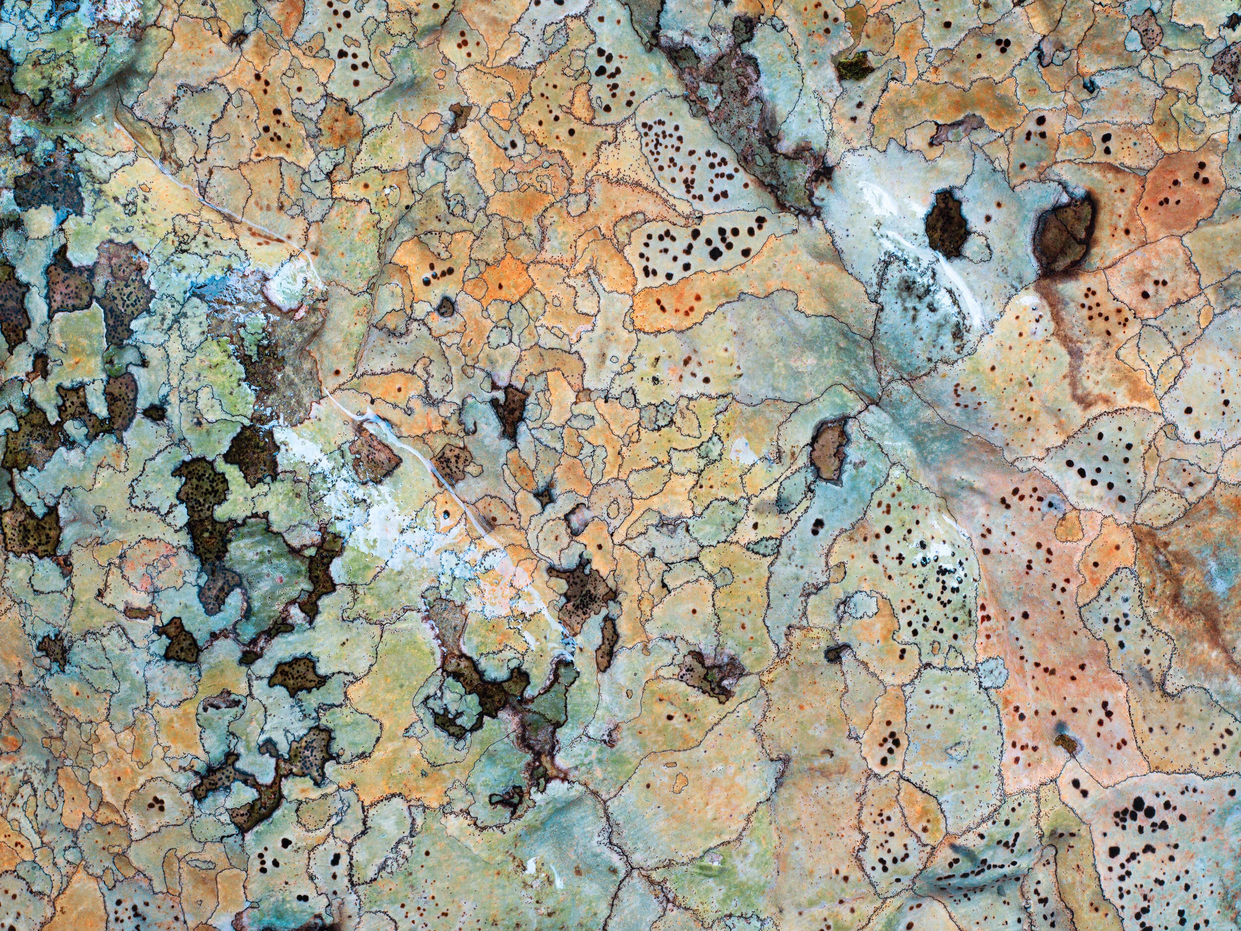 Lichin Waiohine 5 copy.jpg