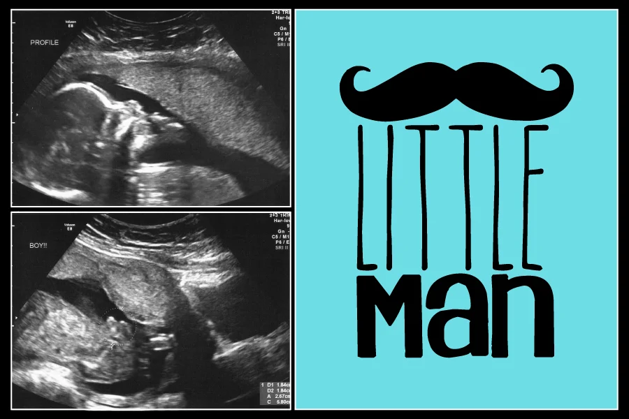Little Man gender reveal
