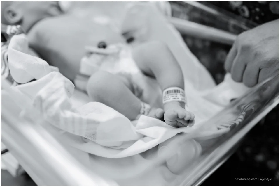 Florida Newborn photographer
