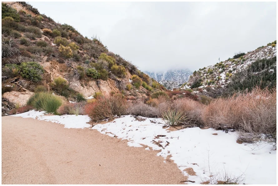 Los Angeles Maternity Photographer, josephine peak, pasadena, california, snow, mountains