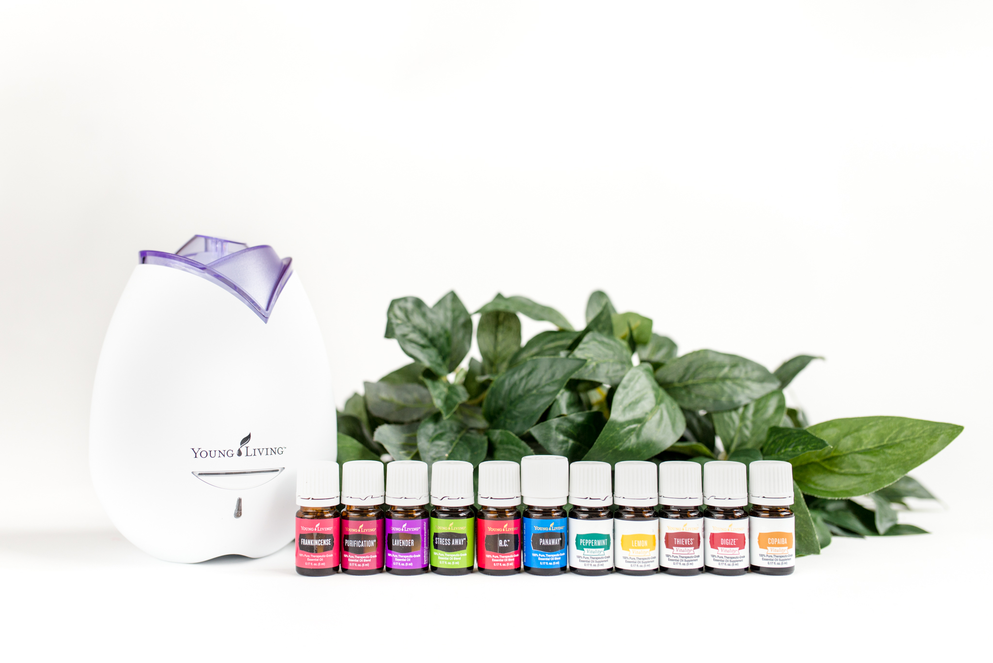 170222-Young Living-196WEB.jpg