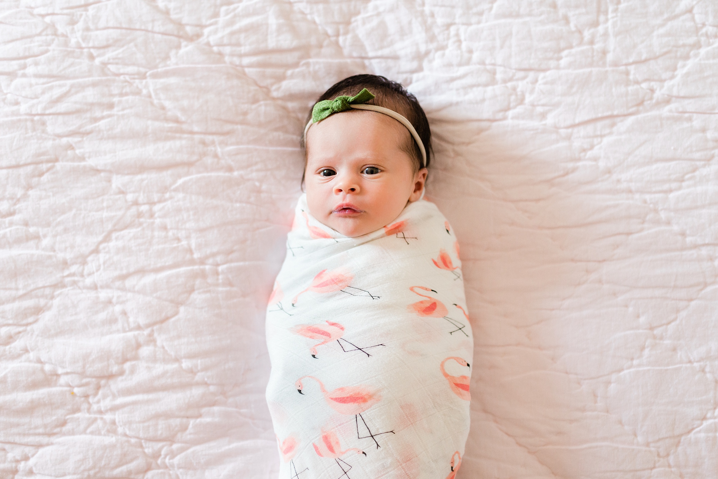 180419-Auden Newborn-297_Blog.jpg