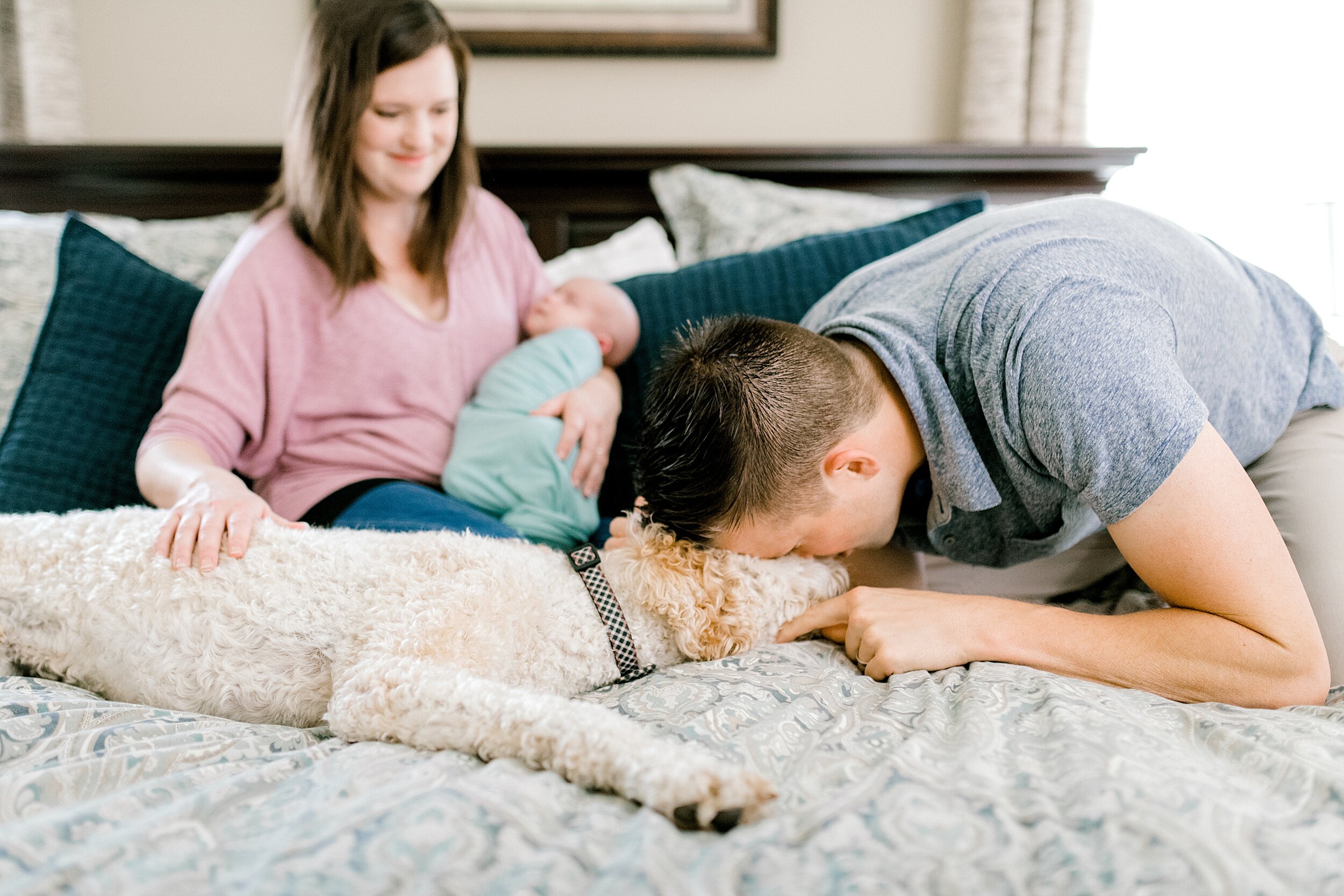newborn-photos-with-dogs
