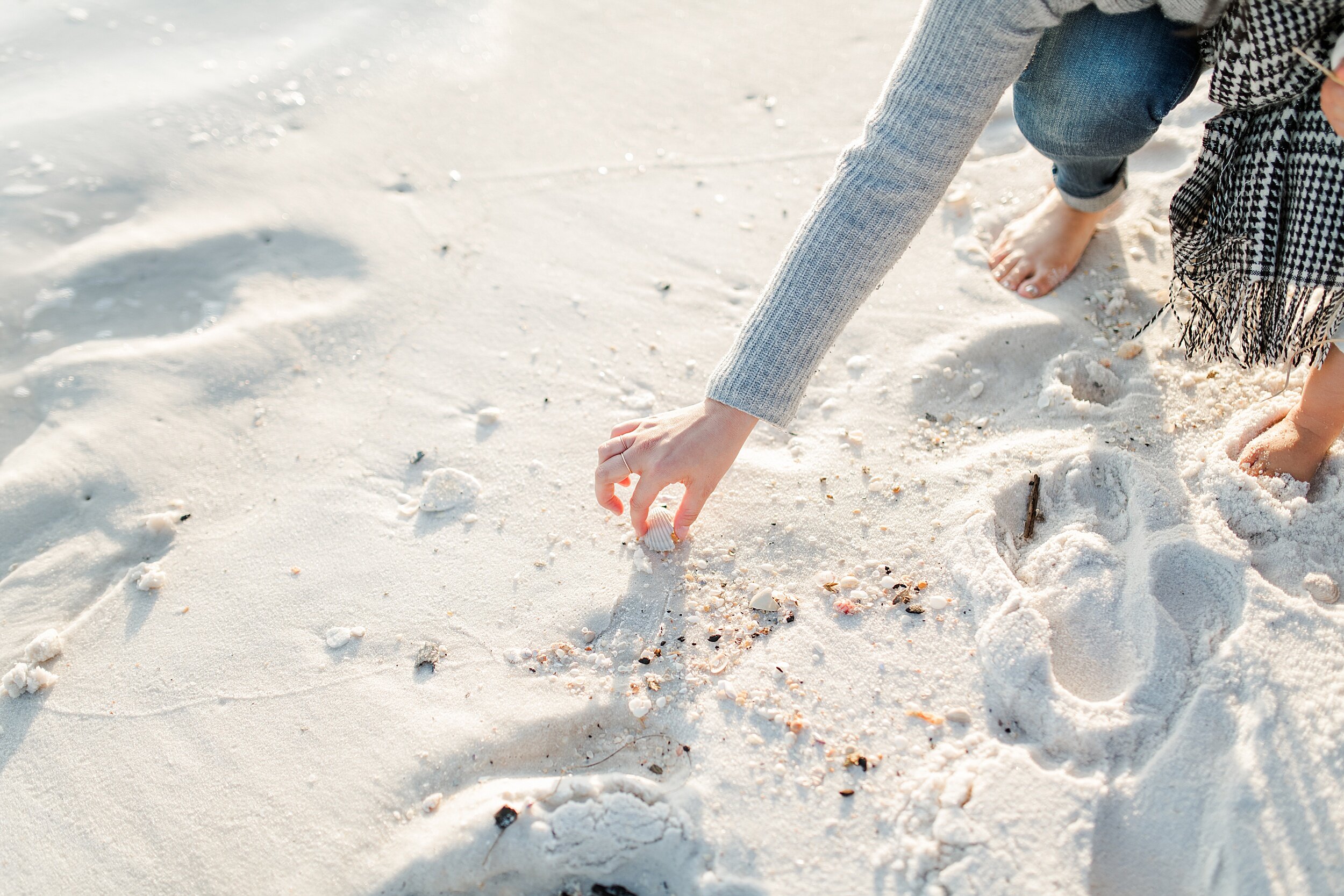 seashells-pensacola-beach