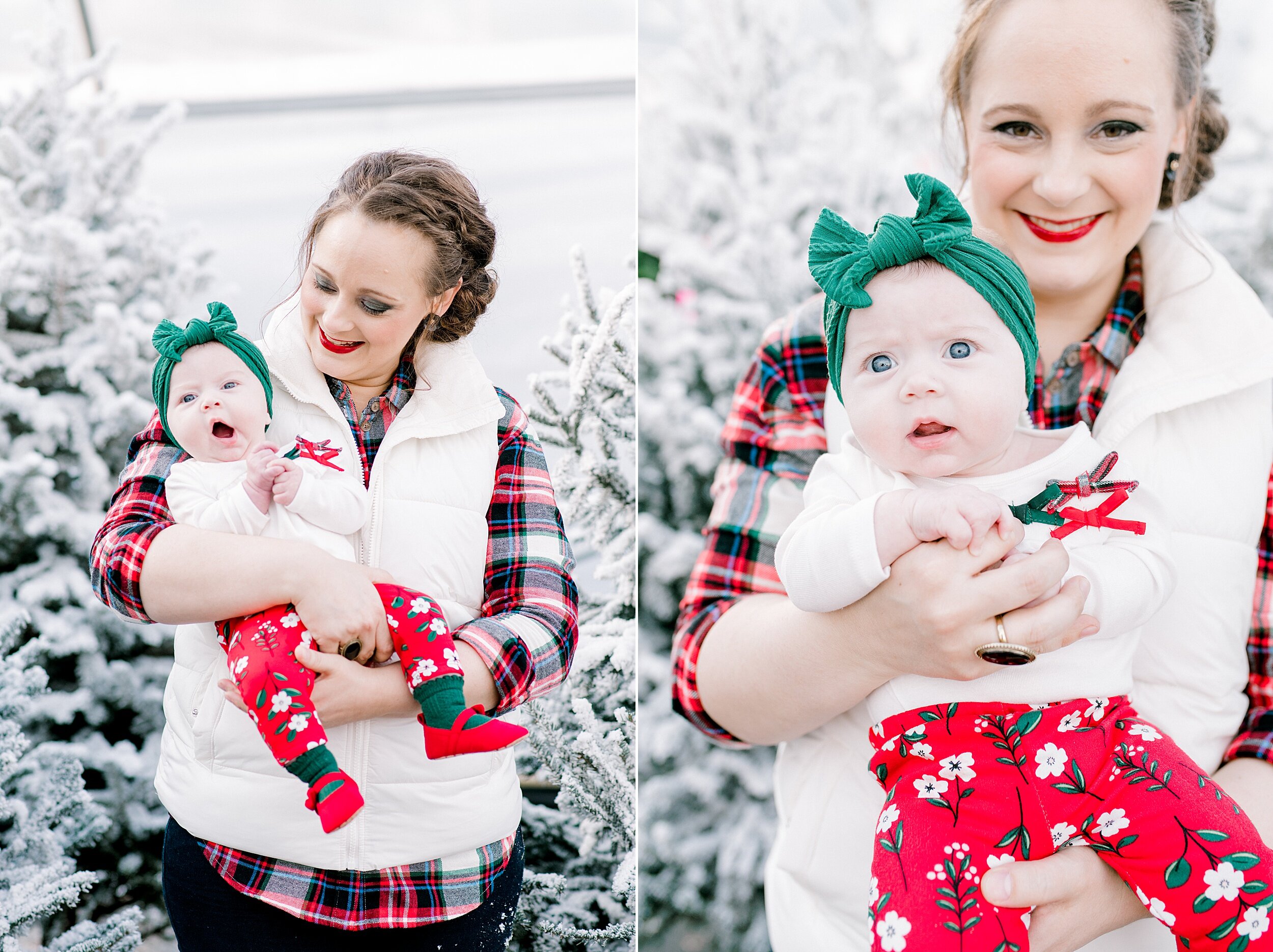 pensacola-flocked-christmas-trees