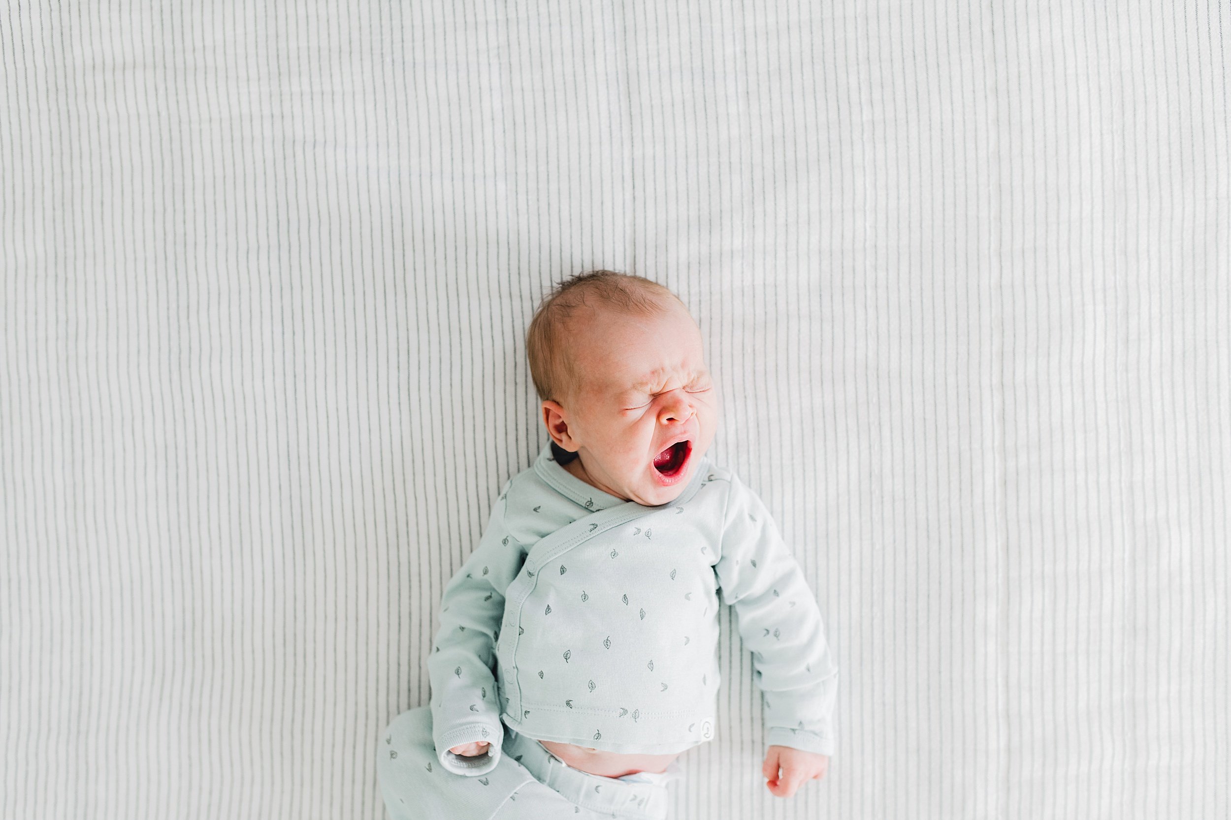 best-newborn-photographers