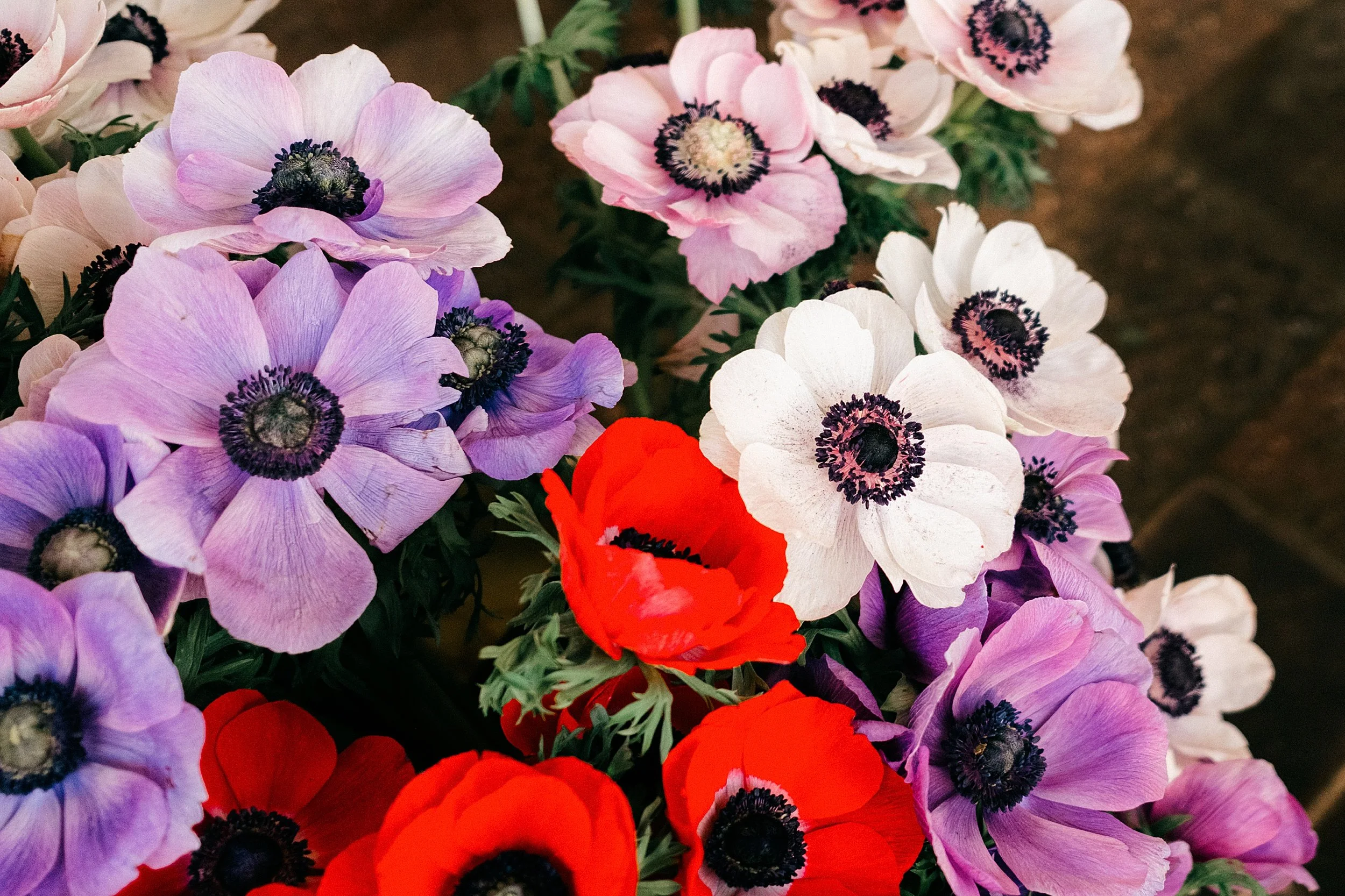 Creative Ways to Use Florals in Your Portrait Session | Pensacola Photographer