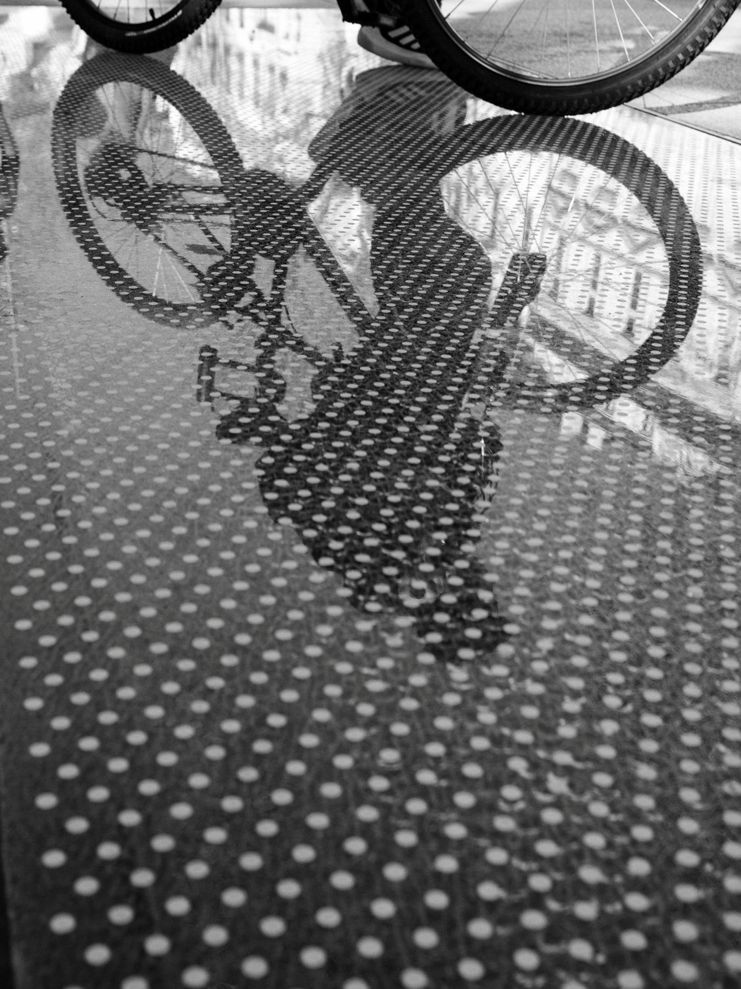 I&rsquo;m a sucker for a good reflection.

Puddles, shop windows, polished stone, shiny floors. I&rsquo;m not picky.

I love playing with reflections to create unusual compositions, distort perspective, and layer different elements of a scene. Someti