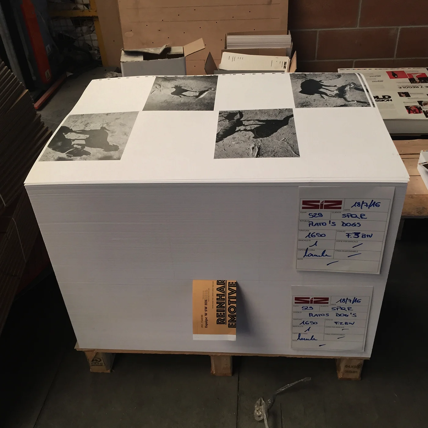 On Press for "Plato's Dogs"