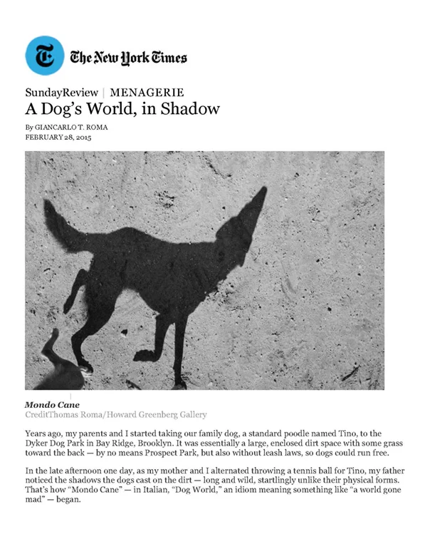 20150301MCTheNewYorkTimes_Page_1.jpg