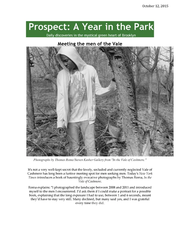 2015 Prospect: A Year in the Park