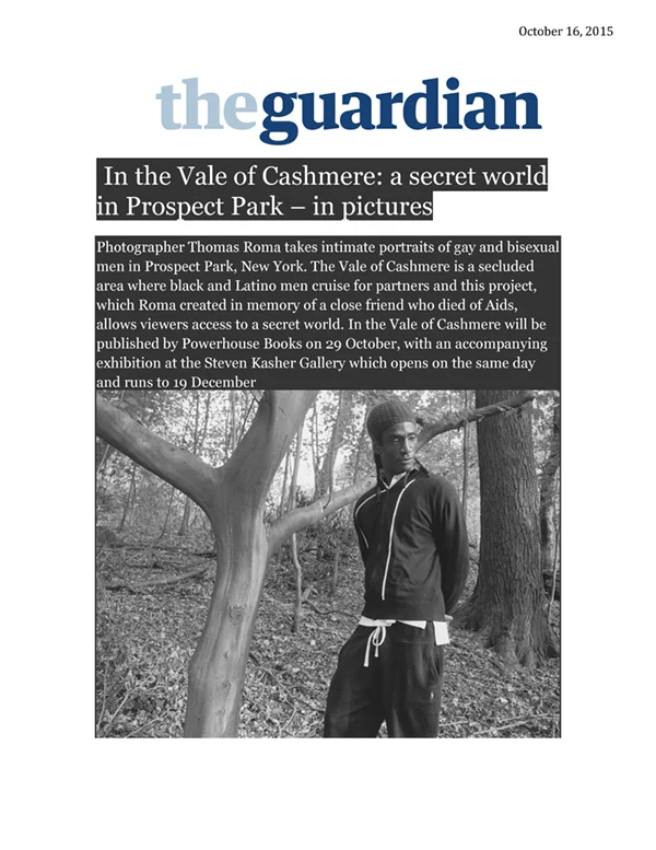 2015 The Guardian