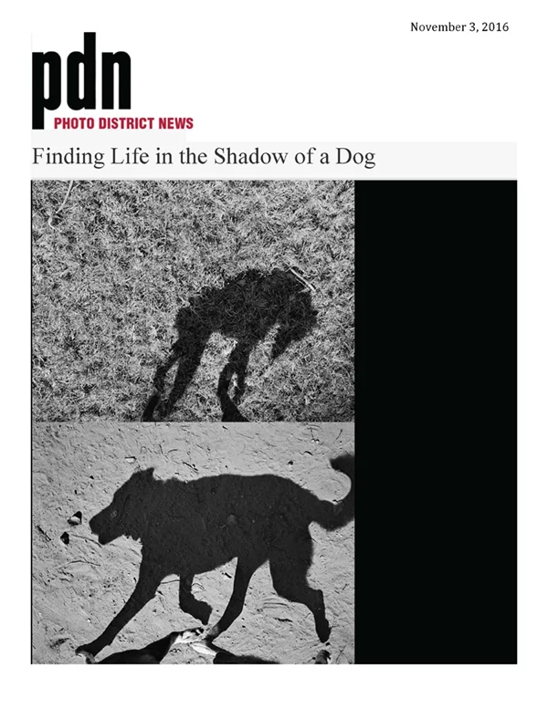 20161103PDPDNPicOfTheWeek_Page_1.jpg
