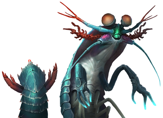 Arthropoid_19.png