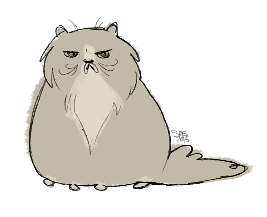 grumpycat.jpg